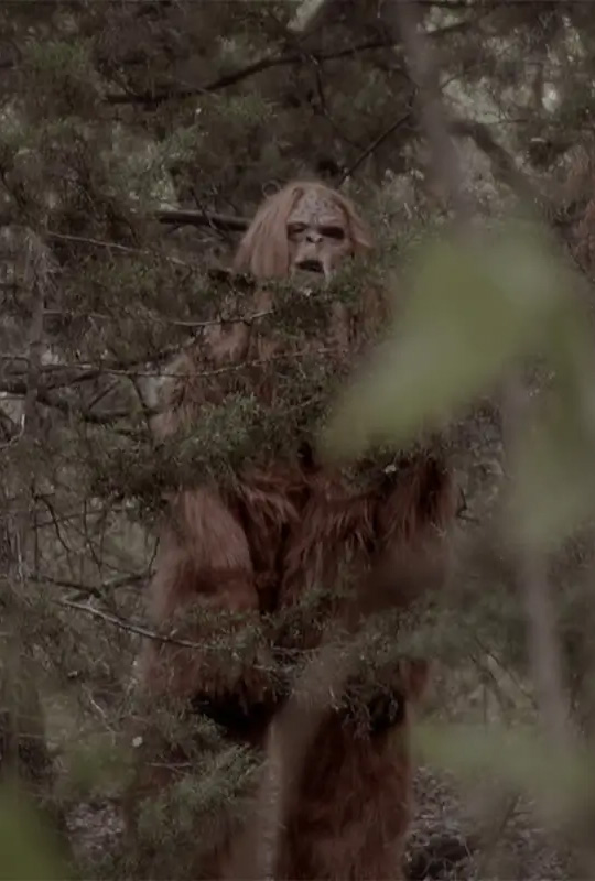 Scary Sasquatch Attack